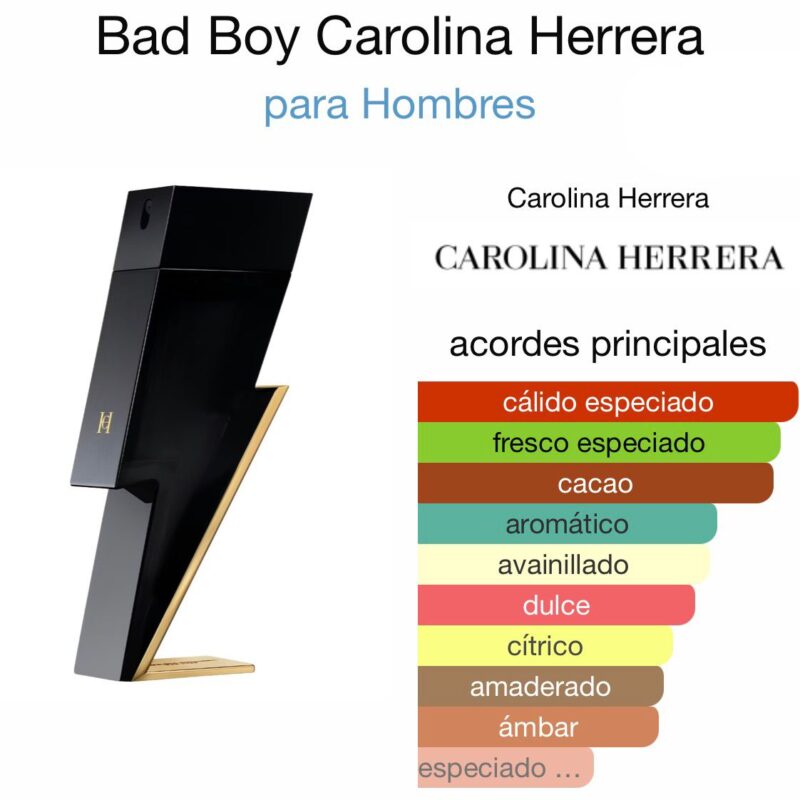 Bad Boy Carolina Herrera - para Hombres - 100ml